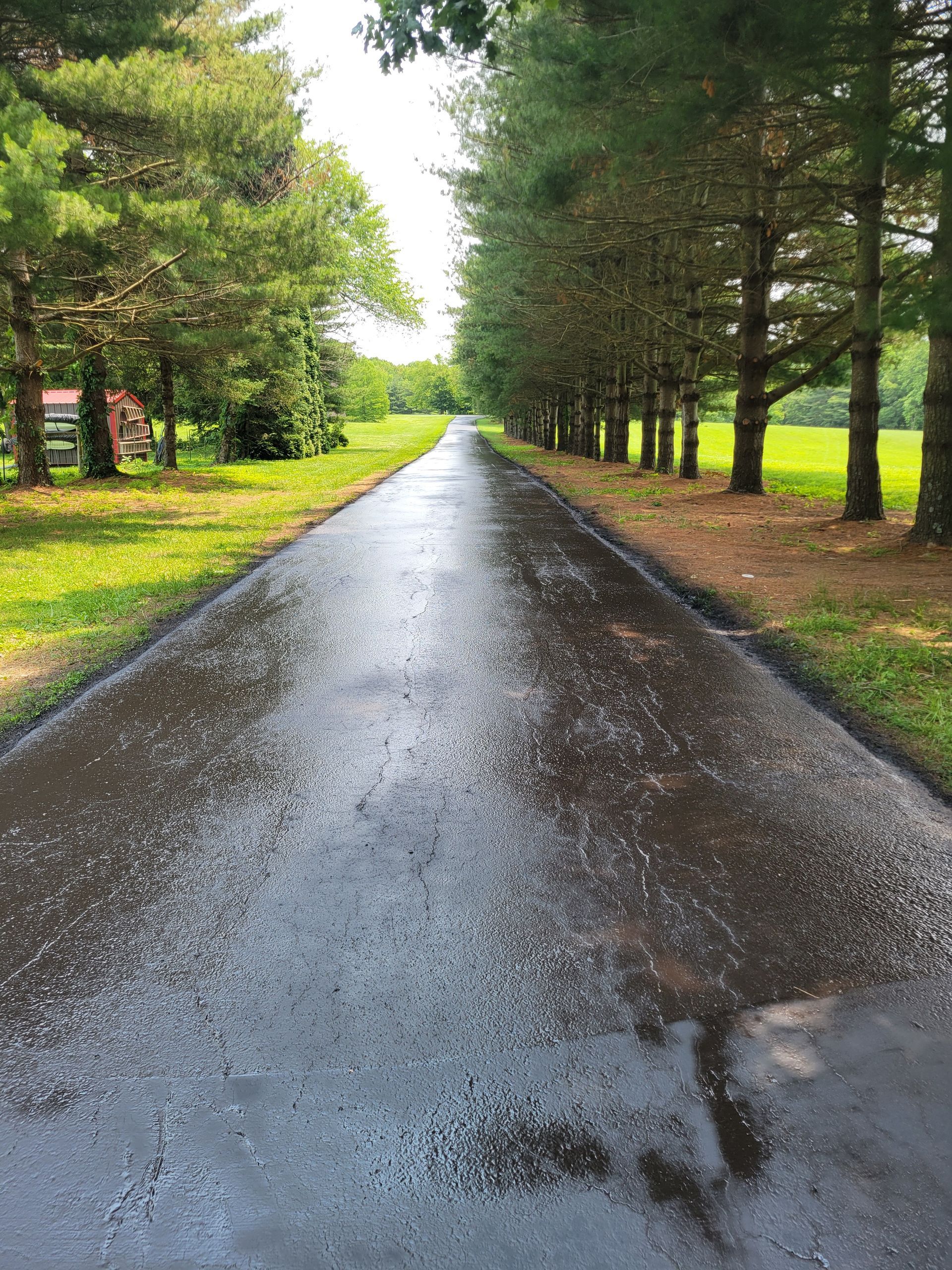 Wet, paved road lined with trees on both sides, leading to a distant field on a sunny day.