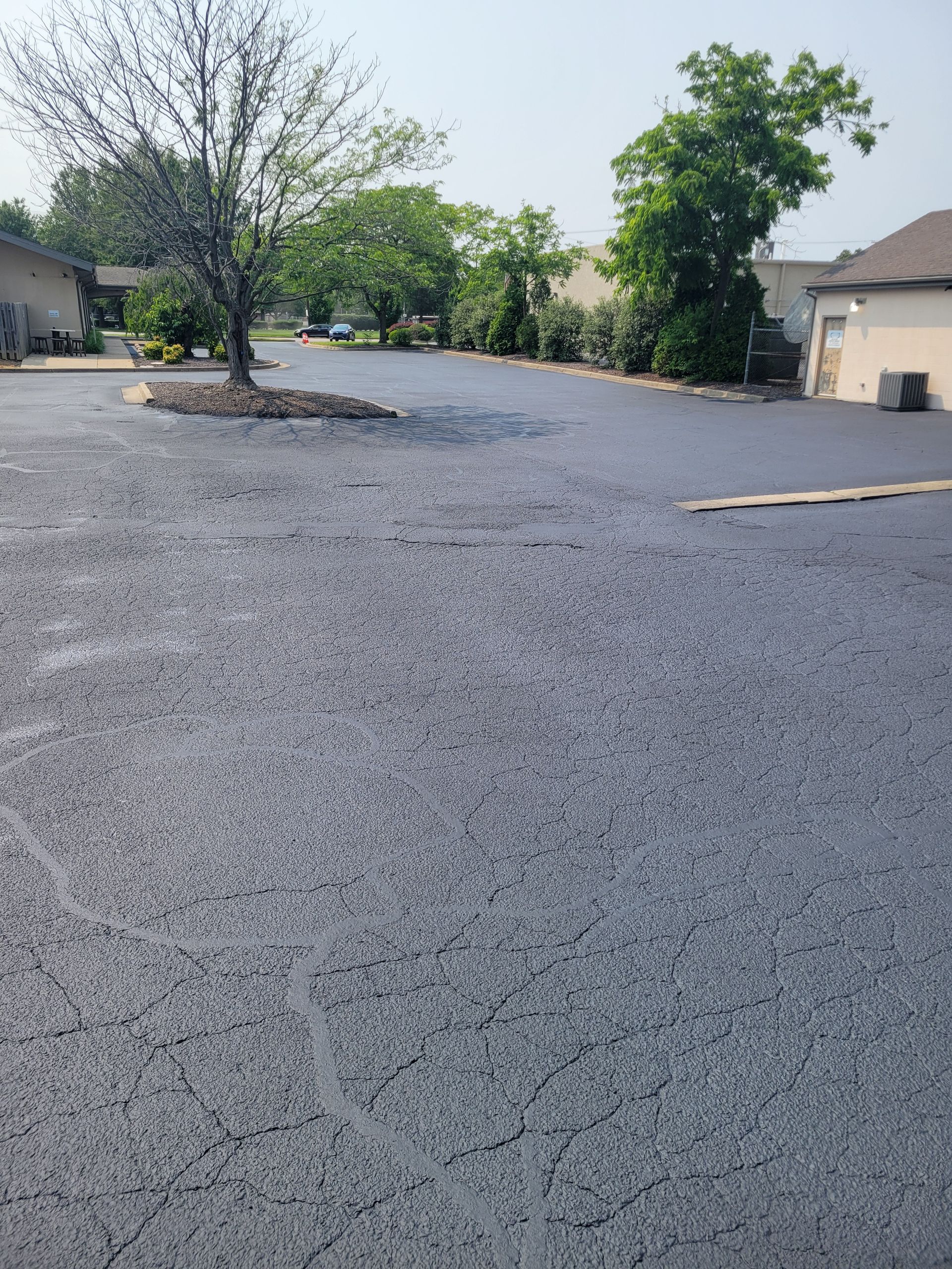 A parking lot with a tree in the middle of it