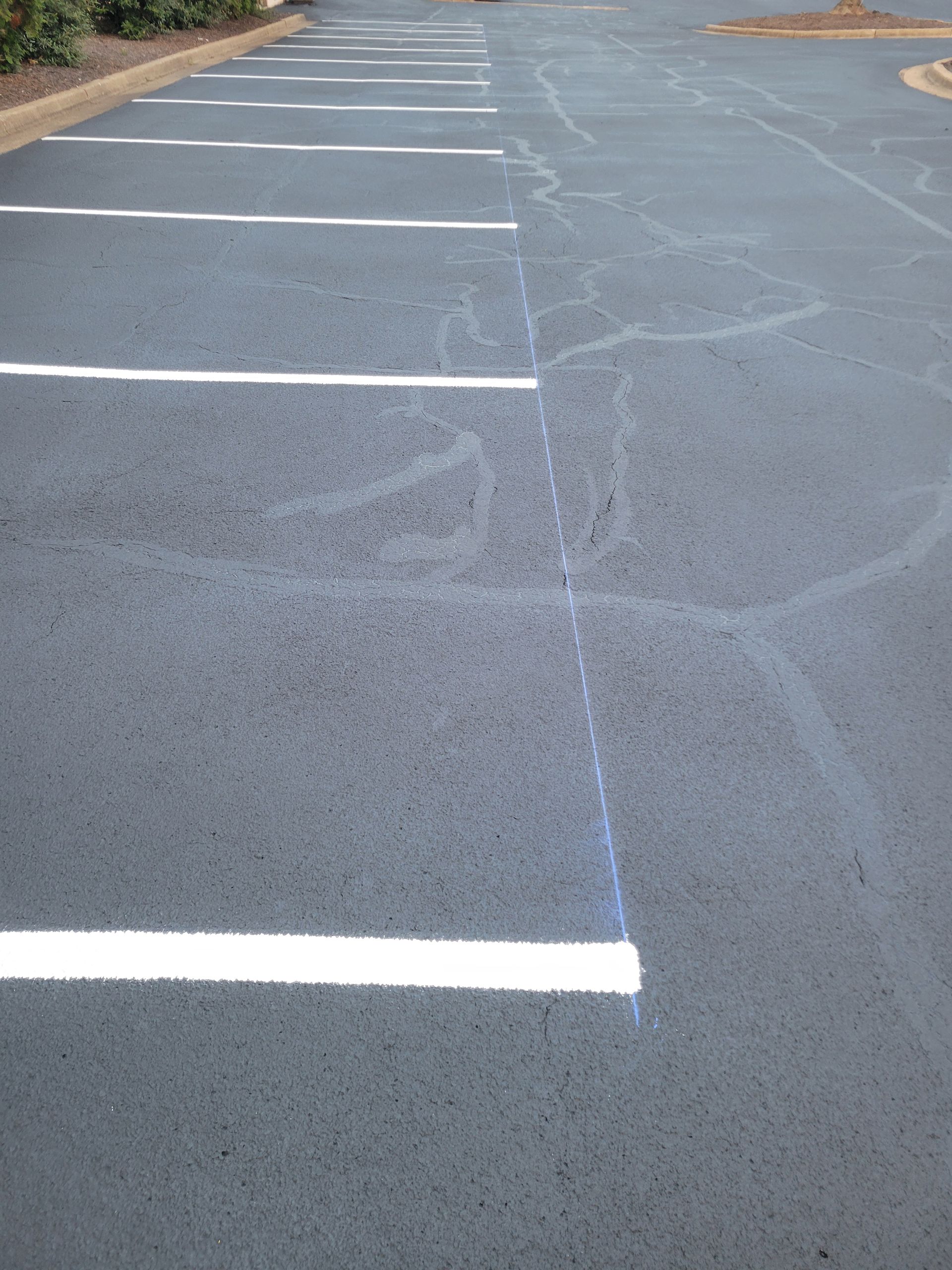 A parking lot with a white line in the middle of it.