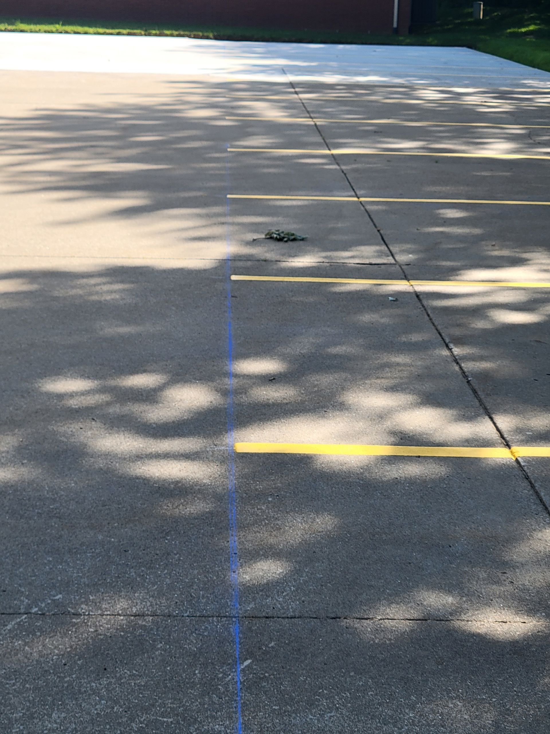 A parking lot with yellow painted lines and a blue line, with shadows cast across the asphalt.