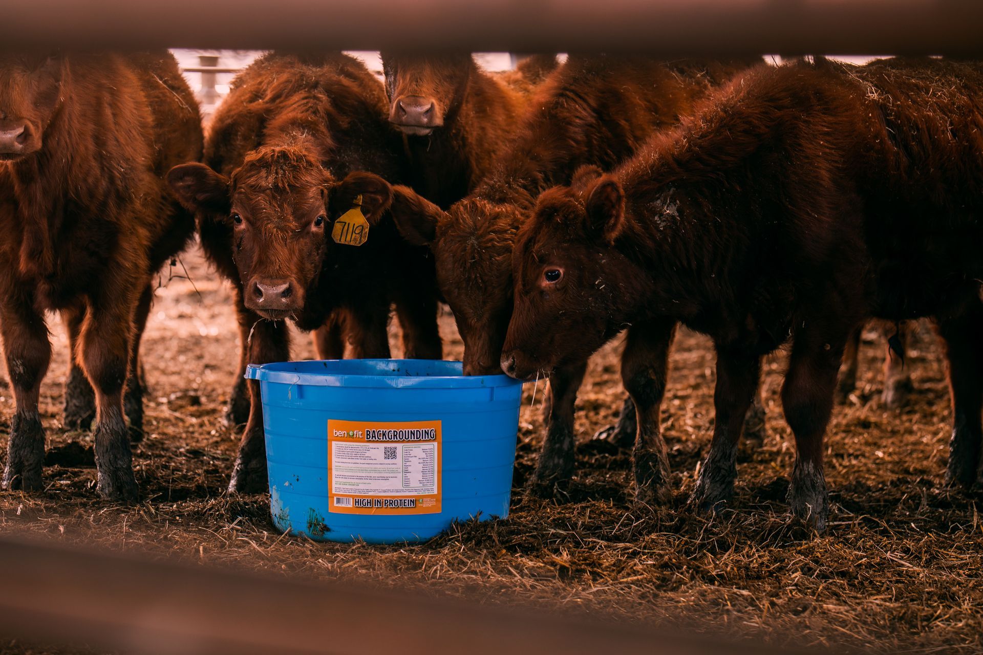 Benefit Cattle Products