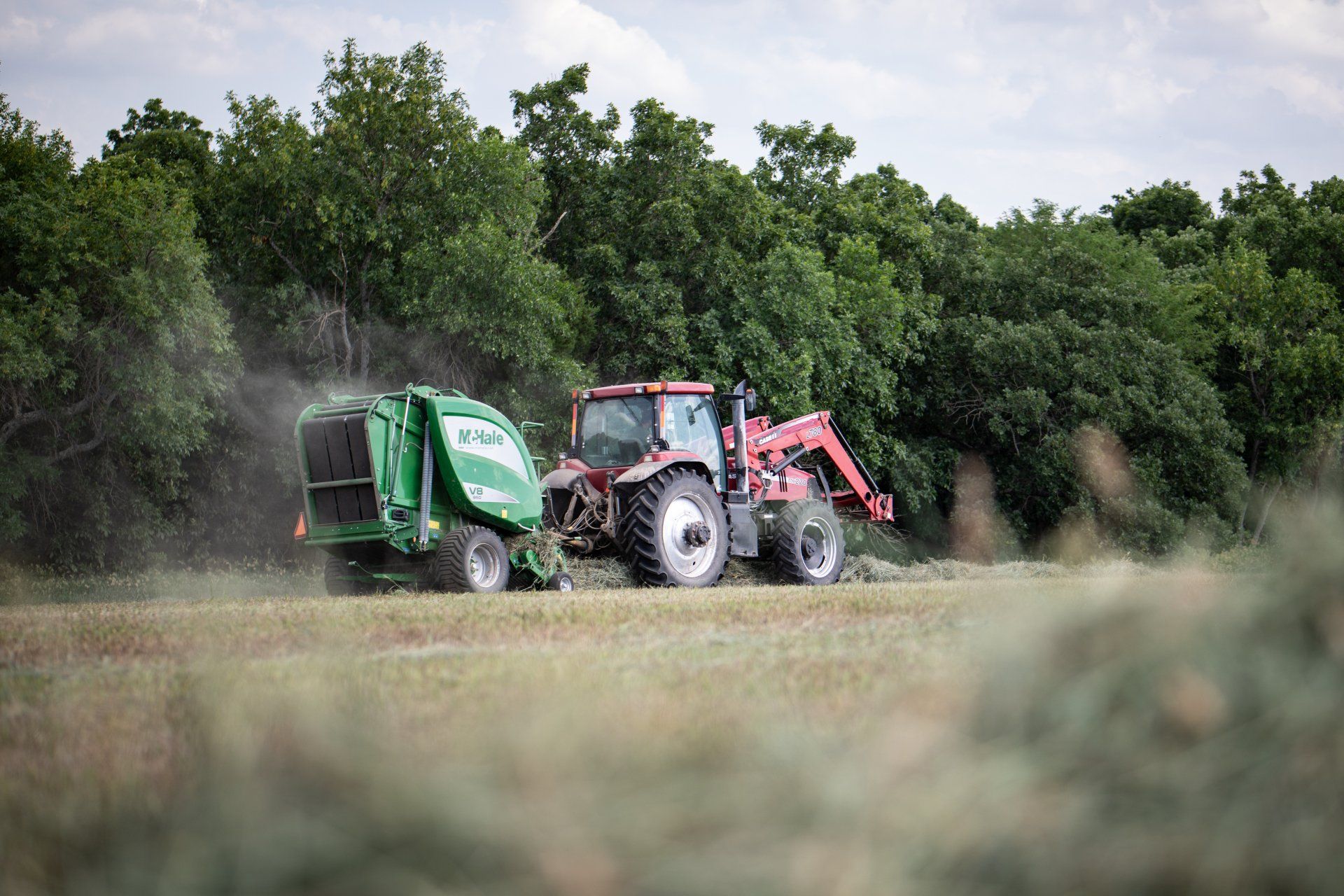 Benefit Hay