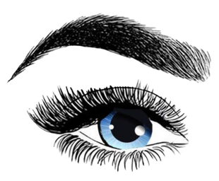 Auge mit blauer Iris, umgeben von langen Wimpern und dicken, geschwungenen Augenbrauen.