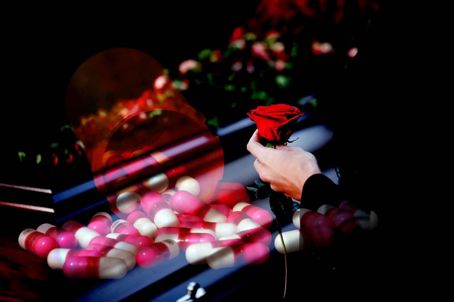 A person is holding a red rose in front of a coffin filled with pink and white pills.