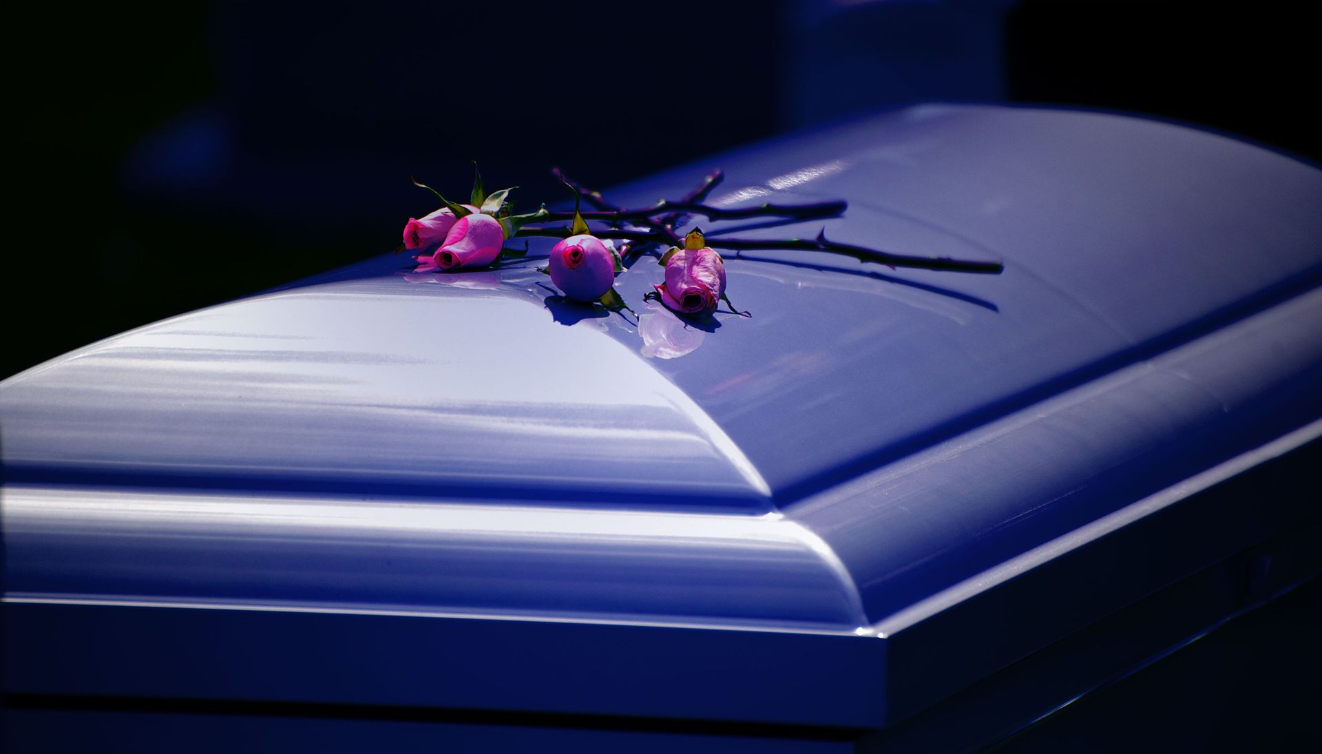 A blue coffin with pink roses on top of it.