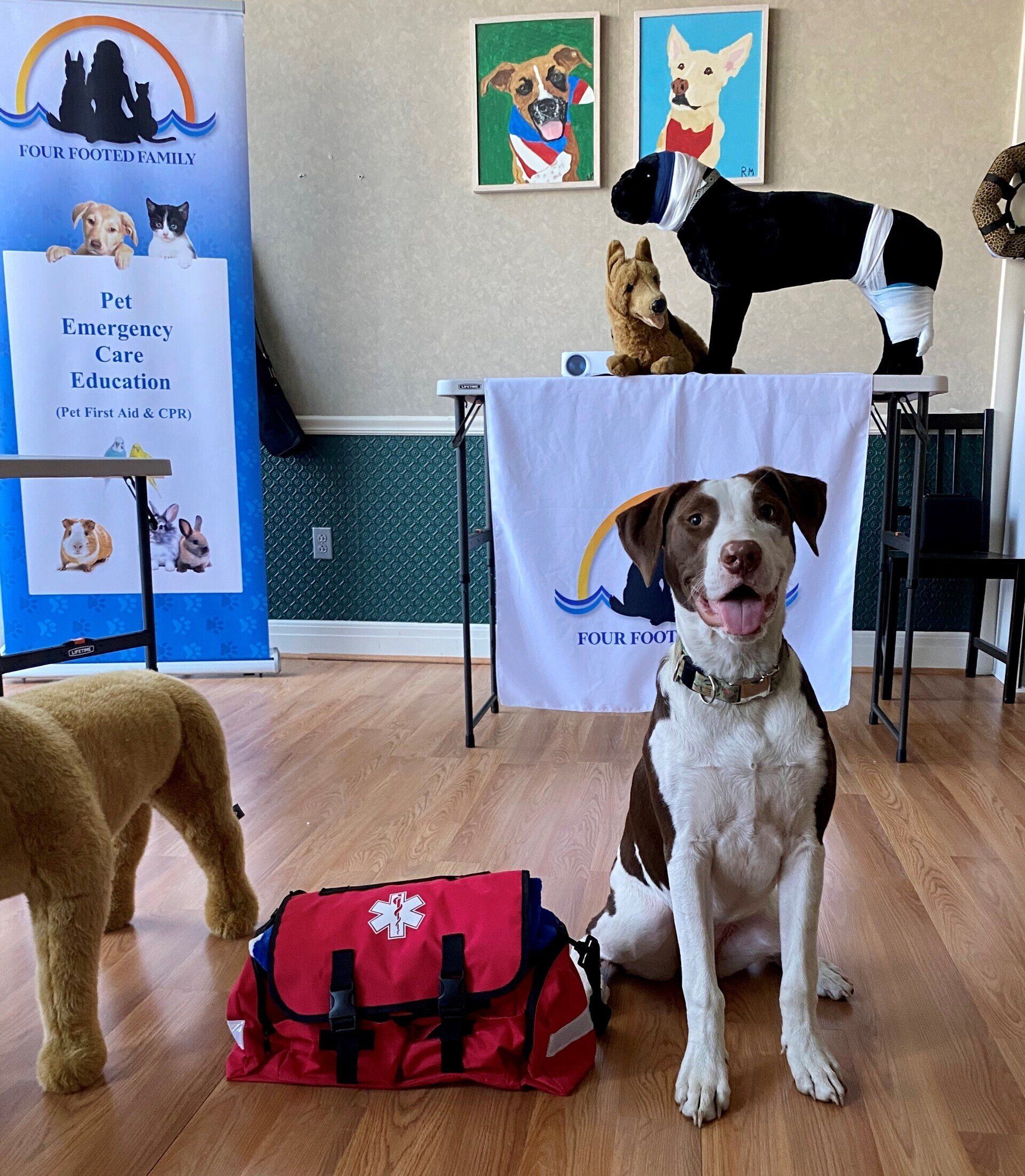 Why Pet First Aid & CPR is Important, Especially Now.