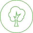 tree disease treatment minneapolis