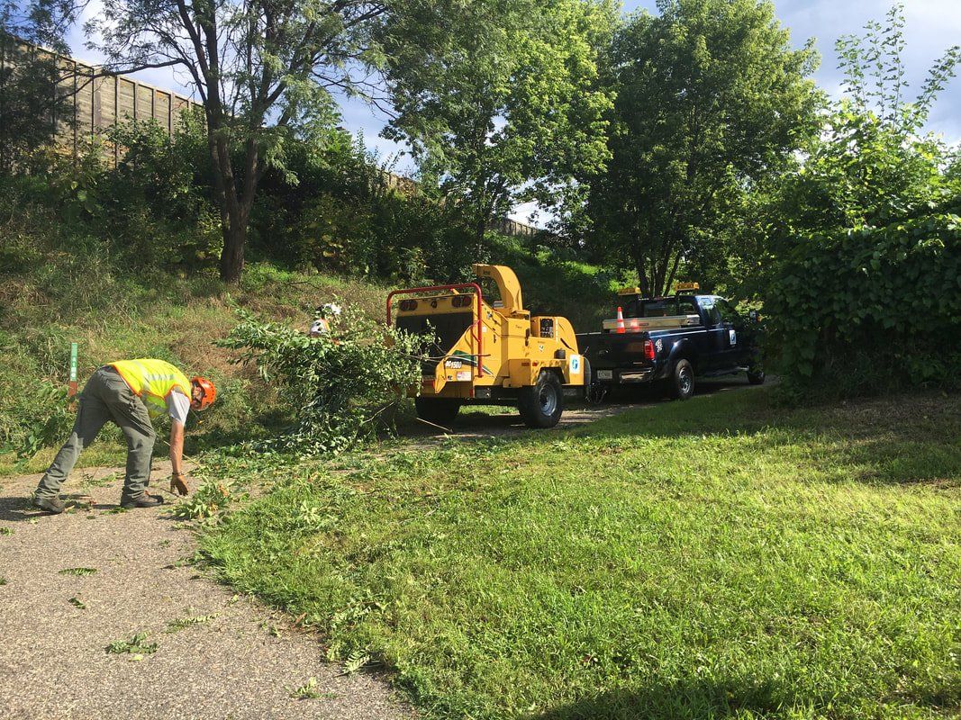 tree trimming minneapolis