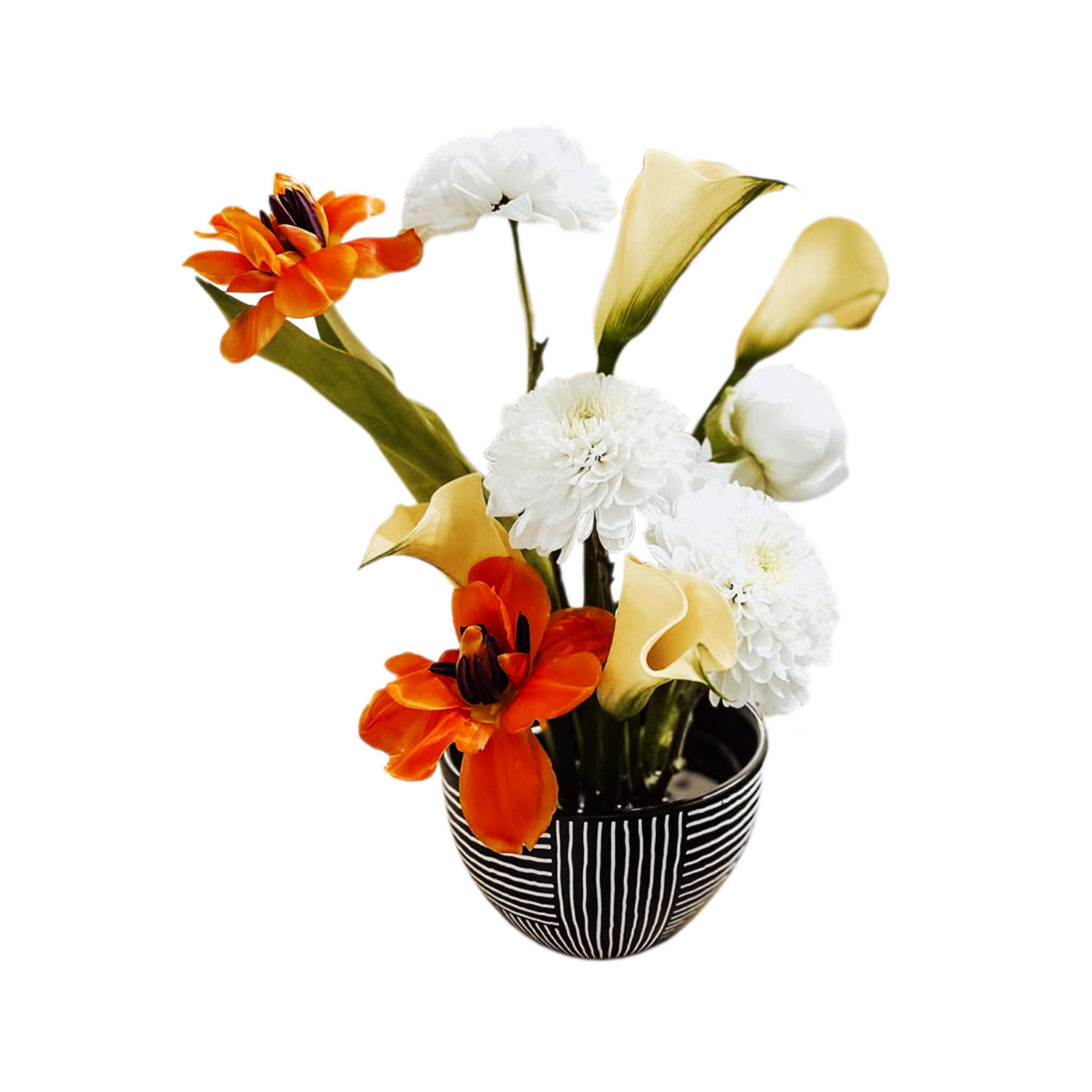 A vase filled with flowers on a white background