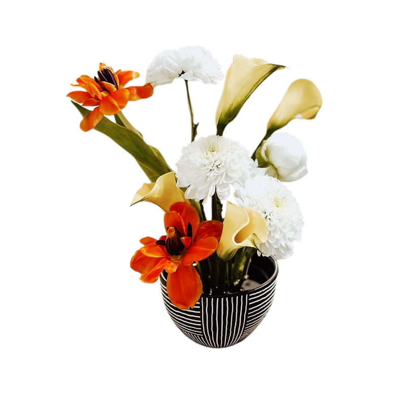 Image of a decorative plant at the spa
