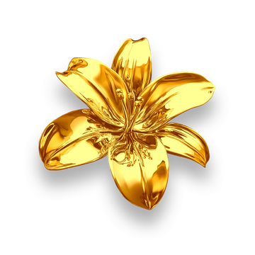 Gold spa leaf accent image