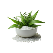 Small white spa bowl with green leaves