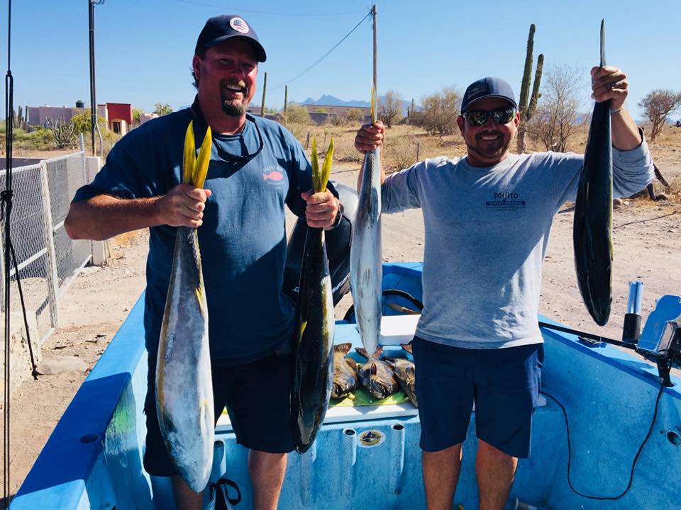 Have fun catching fish in Loreto