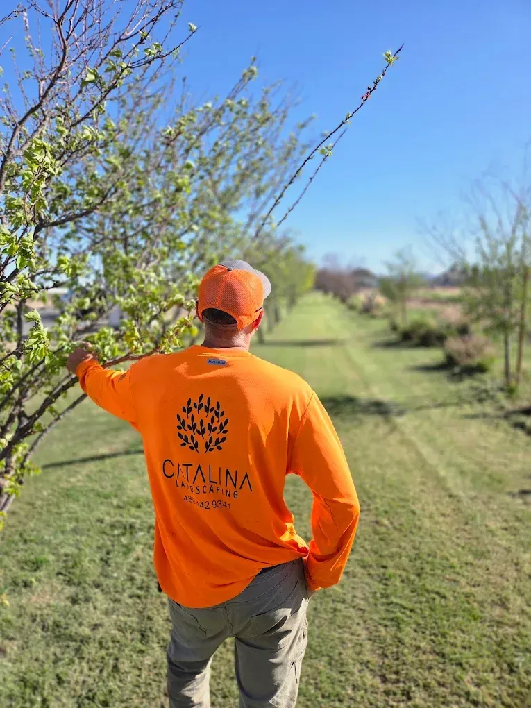 A man in an orange shirt is standing next to a tree in a field.
