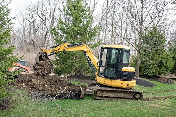 Backhoe Removing Tree Root — Hilliard, OH — Central Ohio Tree Trimming Service