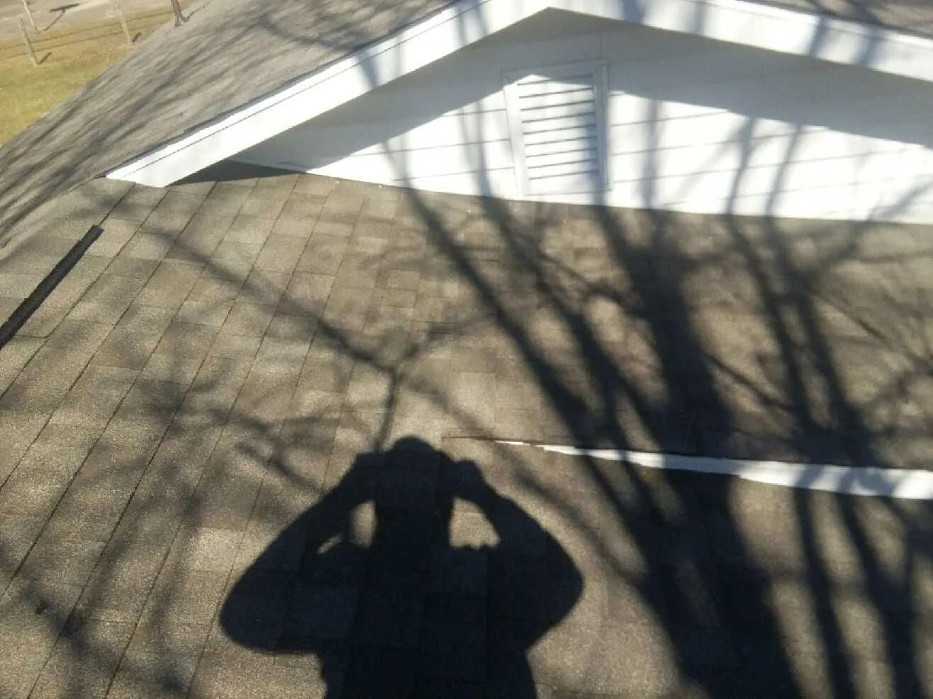 Shadow of a person on a rooftop with tree branch shadows; a white gable vent is visible.
