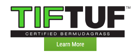 Tiftuf Certified Bermudagrass — Duette, FL — AllState Sod