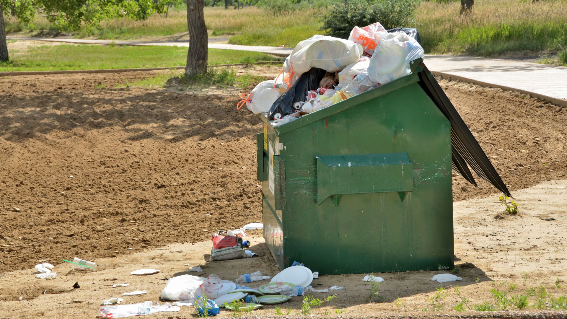 Small Dumpster Rentals