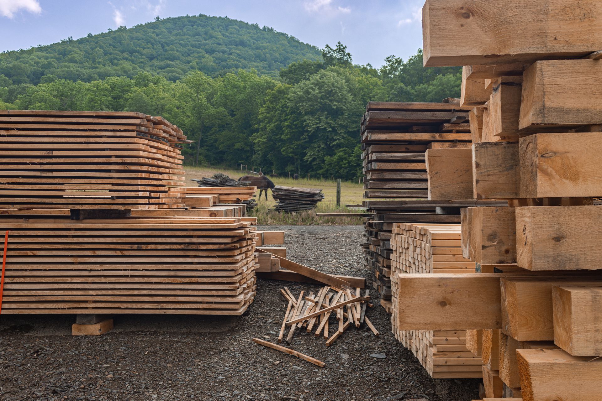 A pile of wood with a mountain in the background