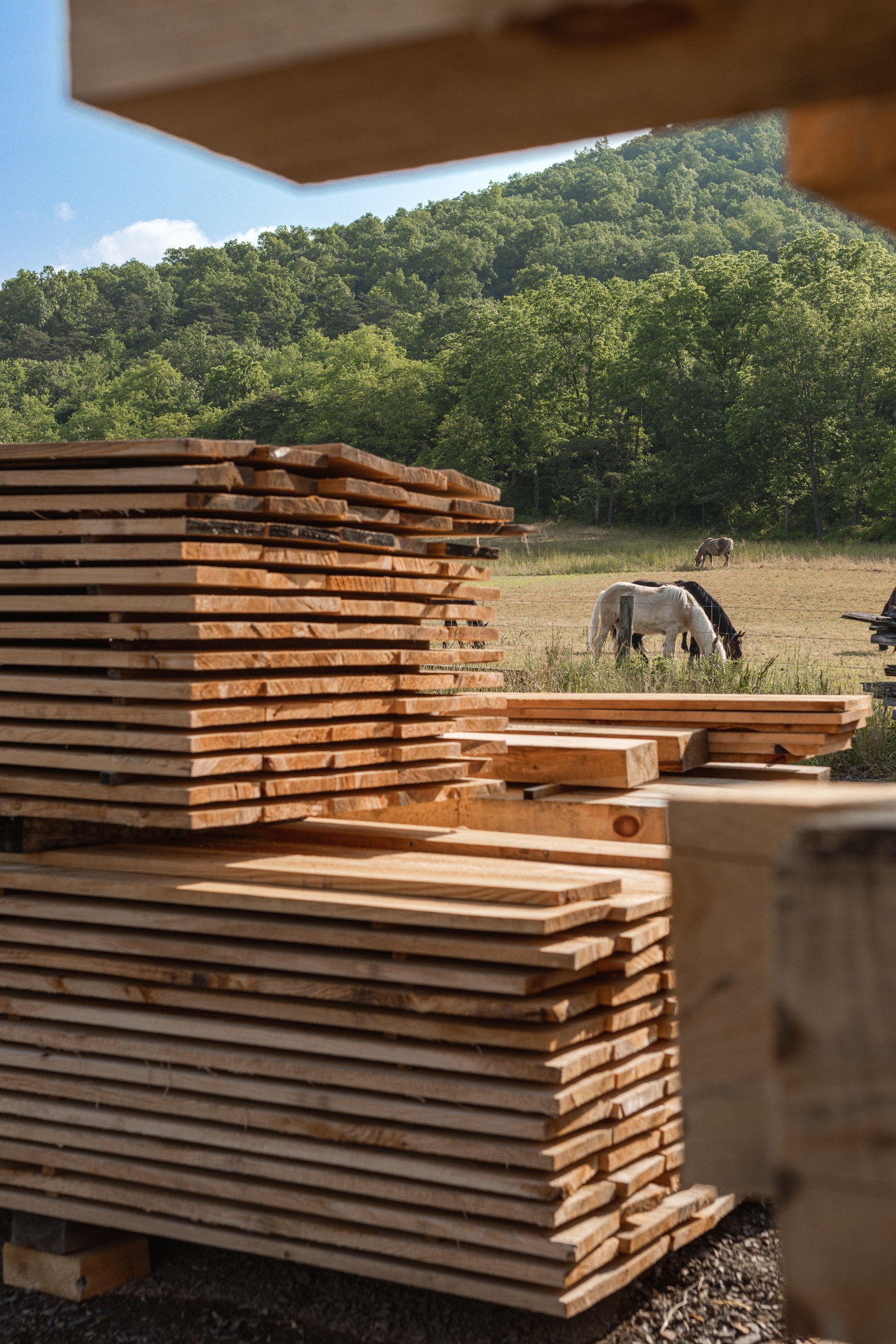 the best rough cut lumber in mill hall