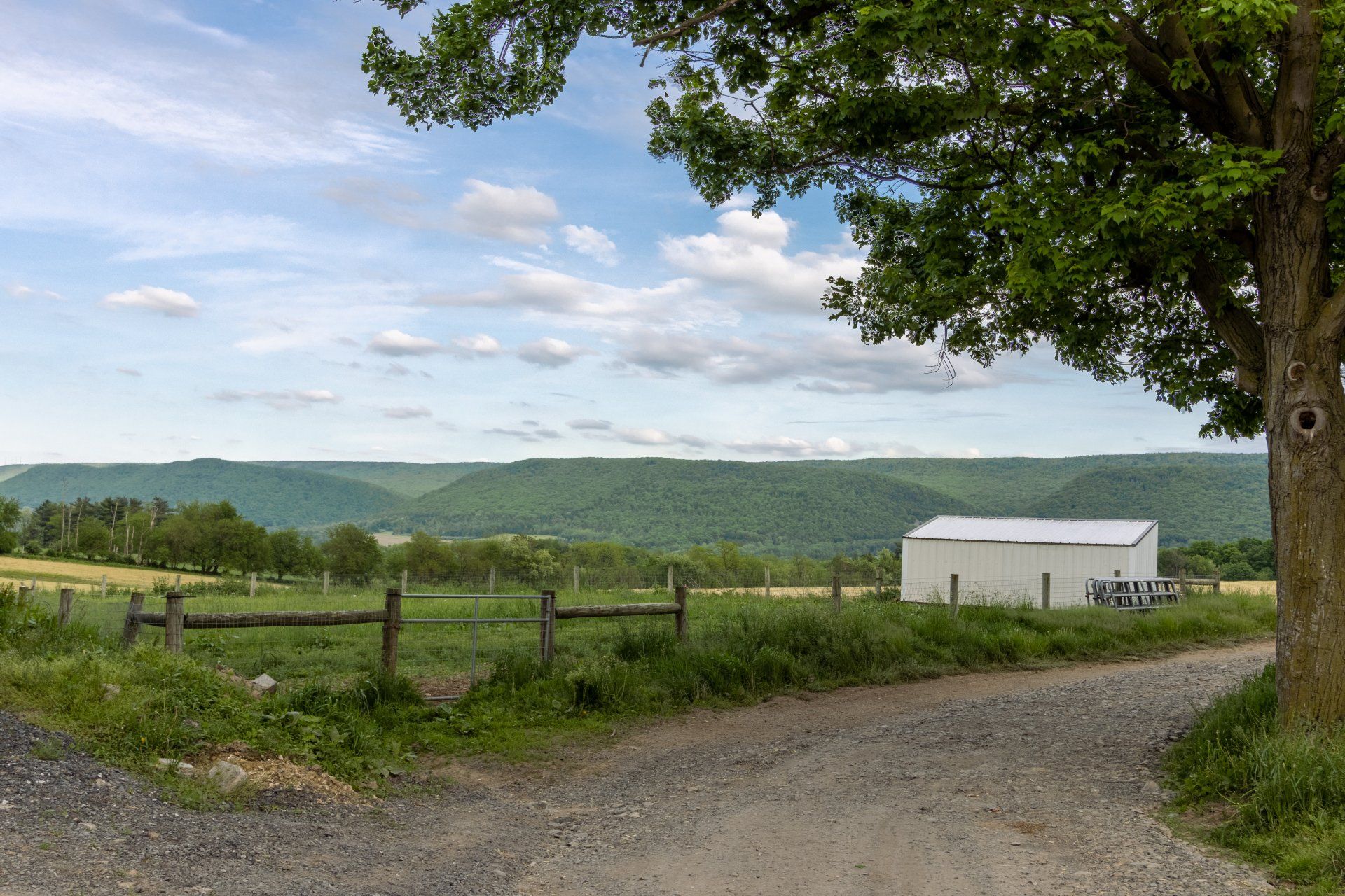 Top quality Pine lumber and cedar lumber in Pennsylvania