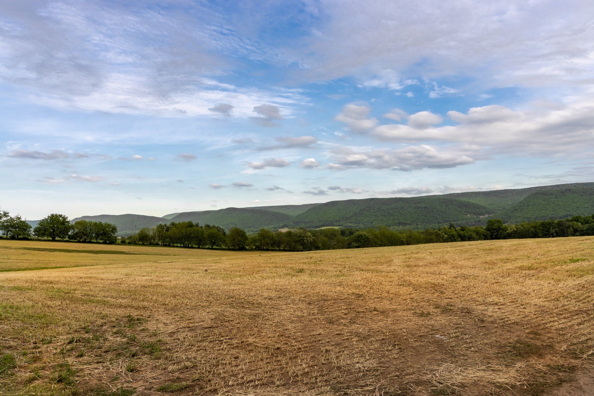 Amish barn doors Howard