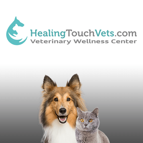 Medical healing pets centre animal Core Veterinary