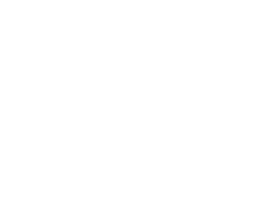 Simple Tech logo