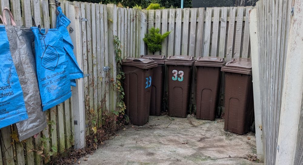 Brown trash bins in a fenced outdoor space. After clean-up image