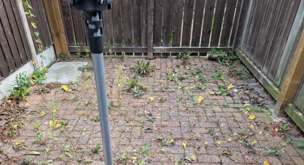 Brick patio with weeds, surrounded by wooden fence and concrete. lots of leaves and weeds. before clean up