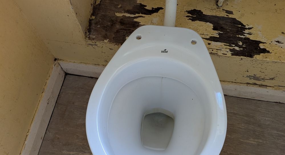 clean toilet after clean up