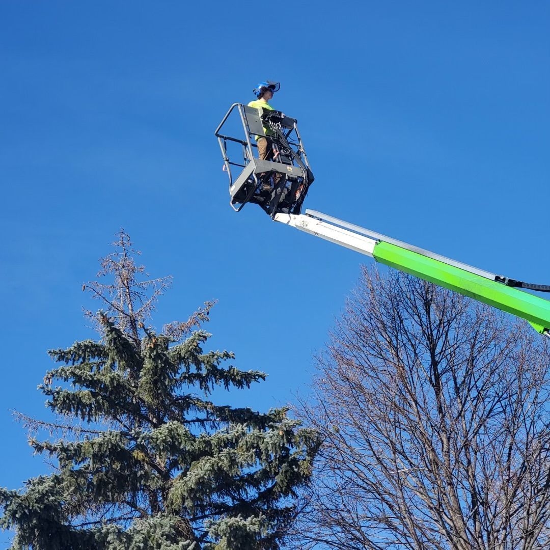 A Man Is Cutting A Tree Branch With A Chainsaw — Ankeny, IA — Mr. Spruce Hill Tree Service LLC