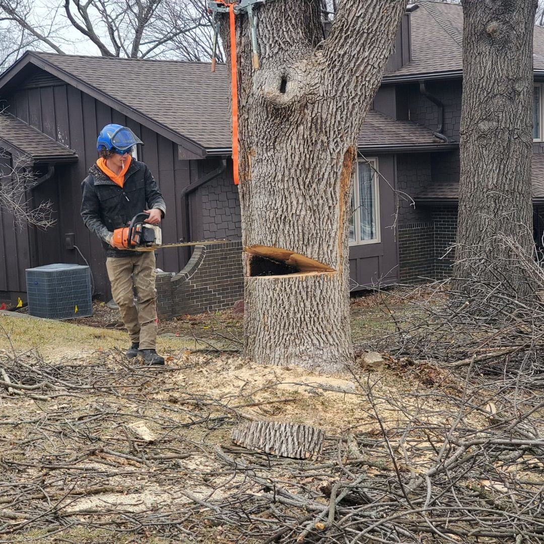 A Man In A Bucket Is Cutting A Tree — Ankeny, IA — Mr. Spruce Hill Tree Service LLC
