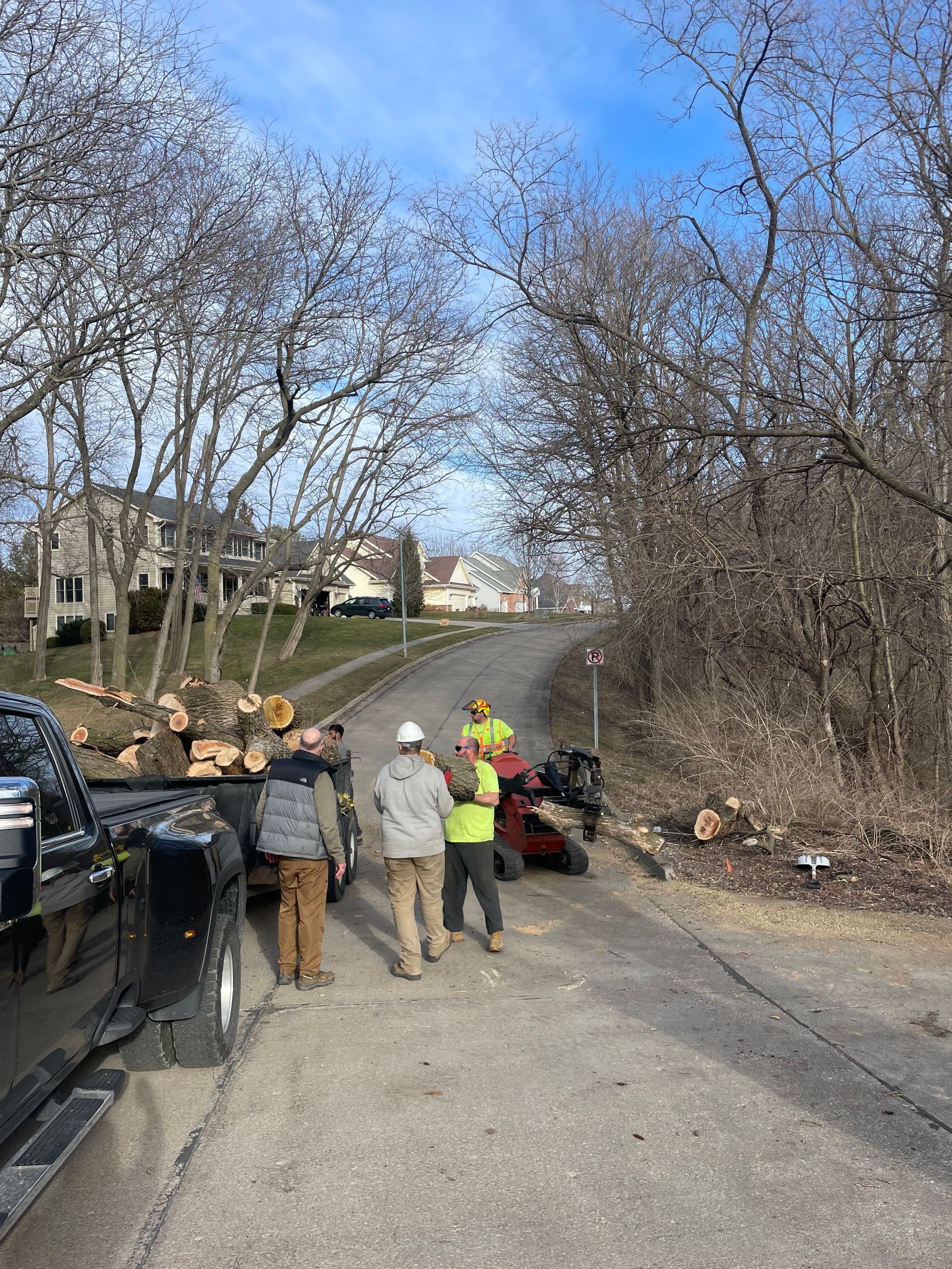 Modern Landscaping — Ankeny, IA — Mr. Spruce Hill Tree Service LLC