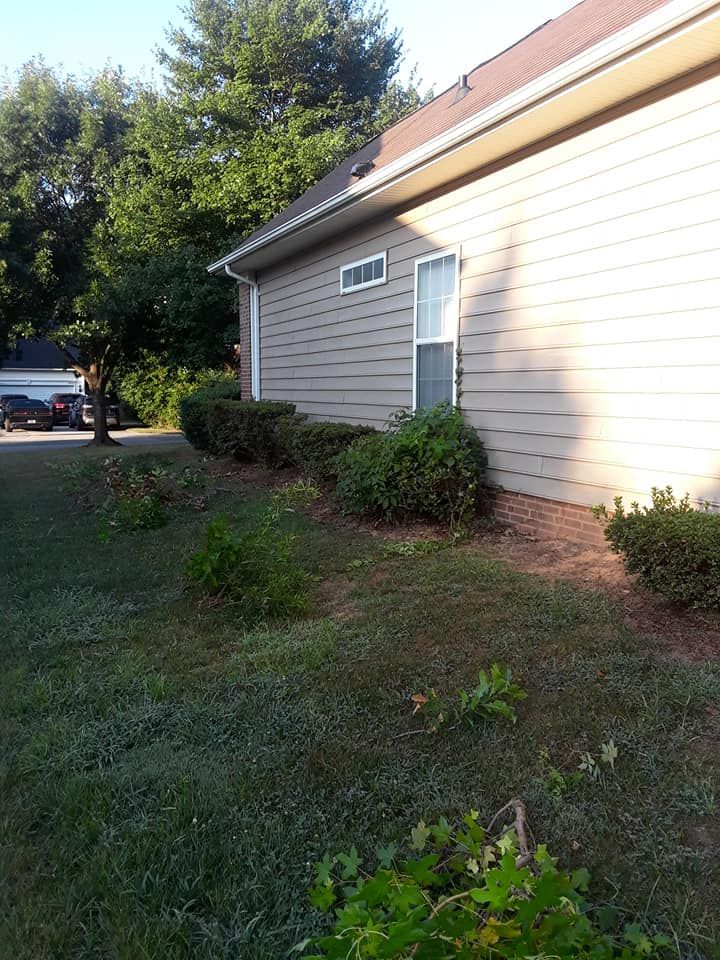 A tan vinyl-sided house exterior with a rectangular window, surrounded by green landscaping and grass on a sunny day.