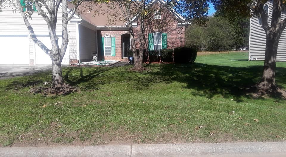 A suburban brick and siding house with a green lawn, two birch trees in the front, and a white garage on the left.