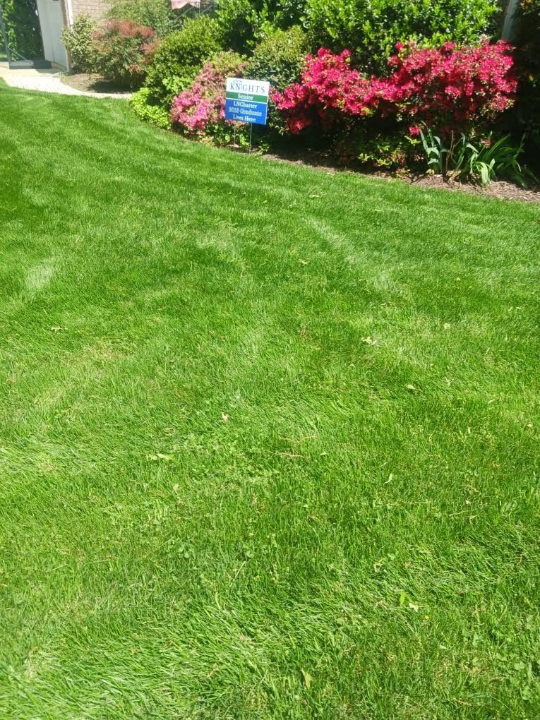 A vibrant green lawn in the foreground with a border of blooming pink azalea bushes and a blue sign in the background.