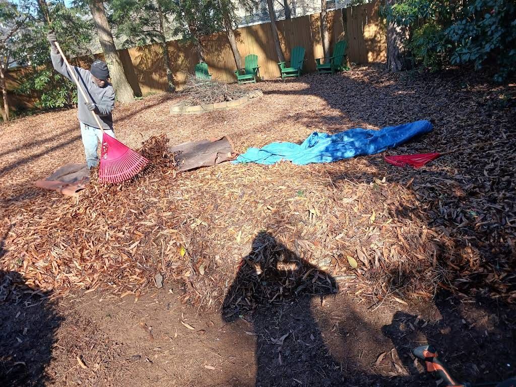 A person in a gray jacket uses a rake to clear dry brown leaves in a yard with scattered blue and red tarps.