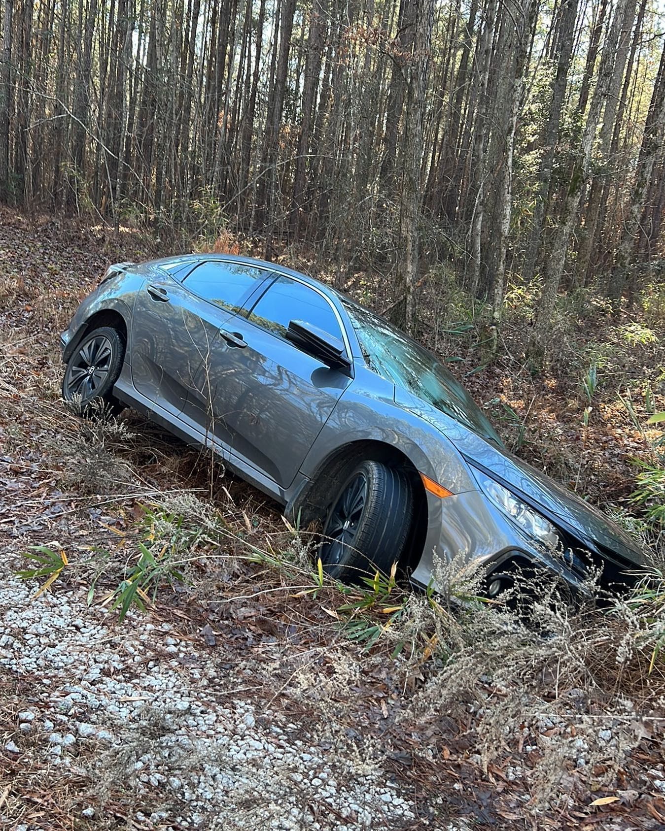 A car is stuck in the woods on a dirt road.