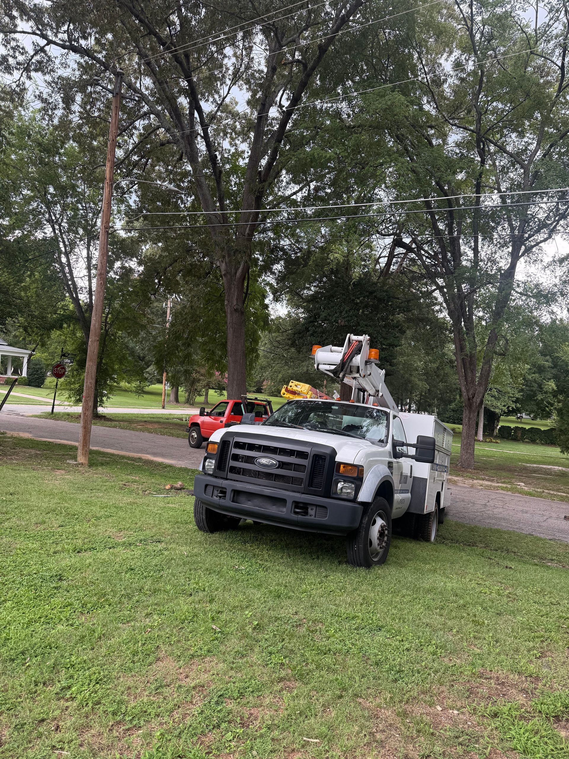 White utility truck with ladder parked on grass near trees and a gravel path in a park.