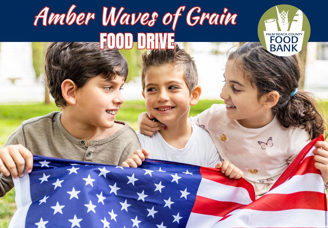 amber waves of grain food drive - palm beach county food bank july food drive