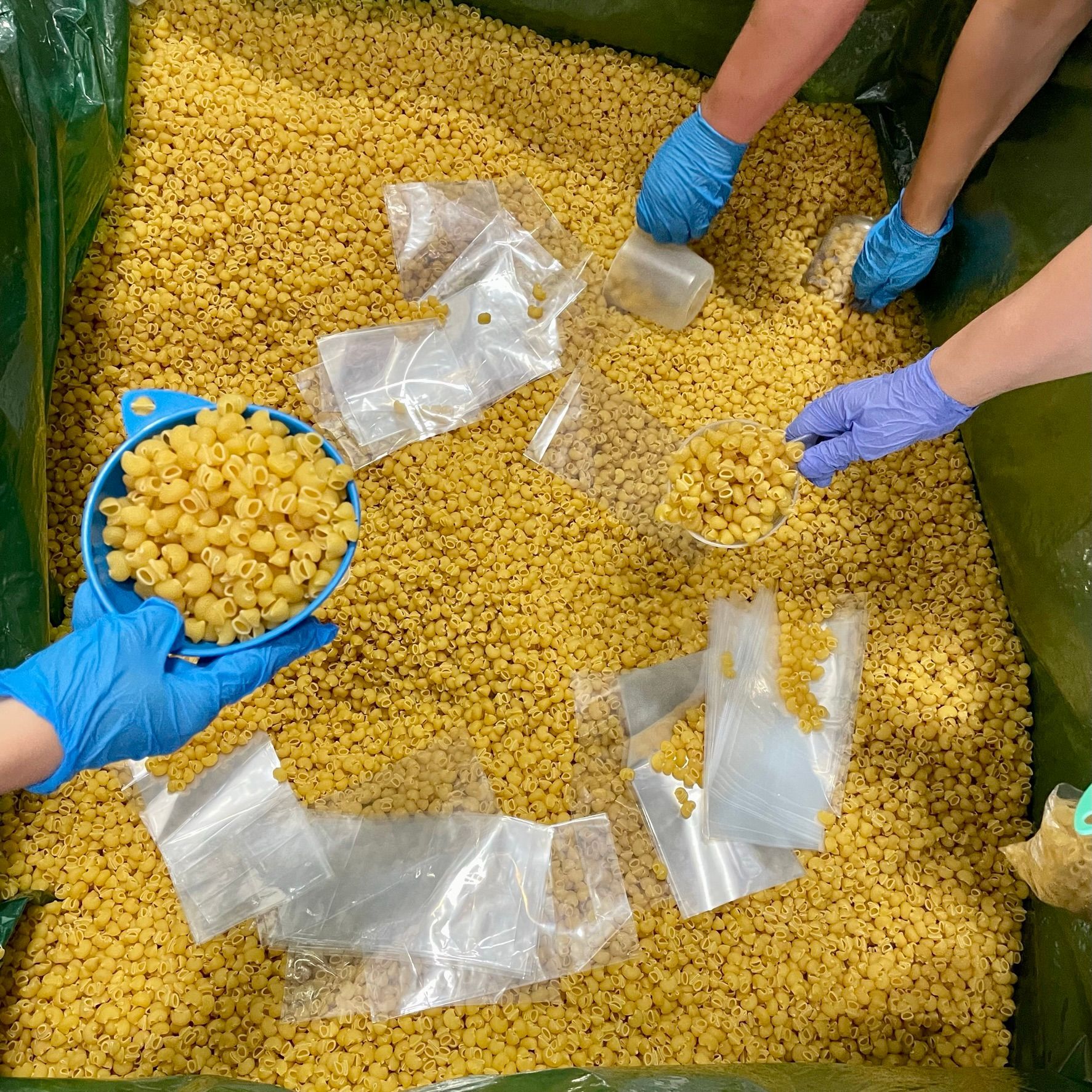 volunteers packing pasta meals at palm beach county food bank