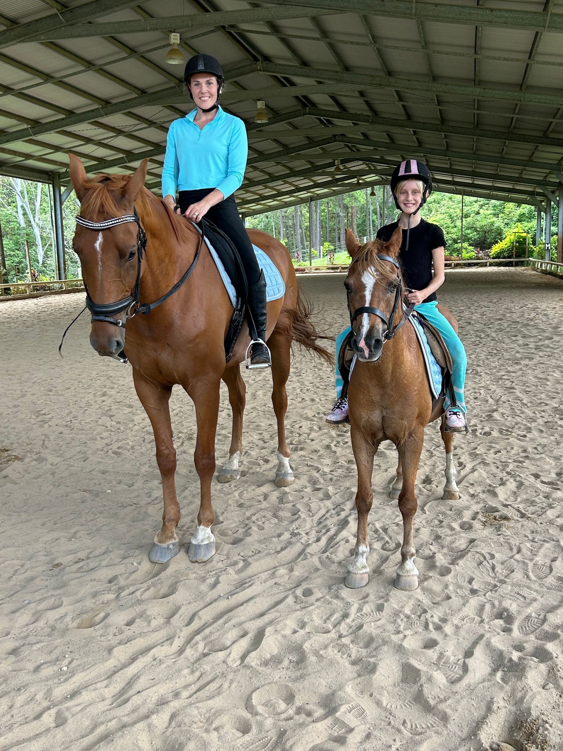 A Horse Stable With Horses Looking Out Of Their Stalls — Merrypark Equestrian Centre In Eumundi, QLD