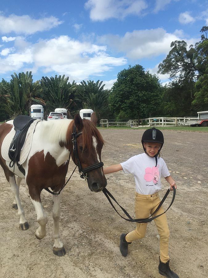 A Young Girl Is Leading A Brown And White Horse On A Leash — Merrypark Equestrian Centre In Eumundi, QLD