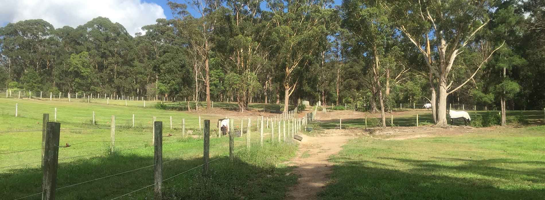 A Row Of Horse Stables With Wooden Walls And Metal Bars — Merrypark Equestrian Centre In Eumundi, QLD