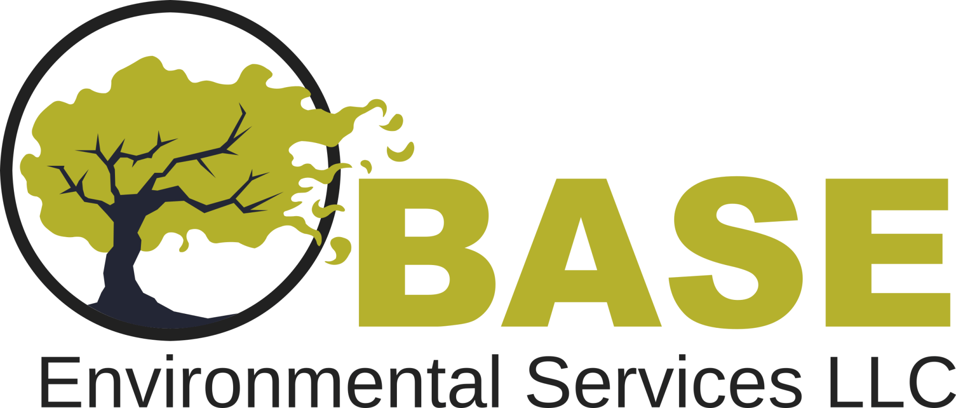 Base Environmental Services LLC