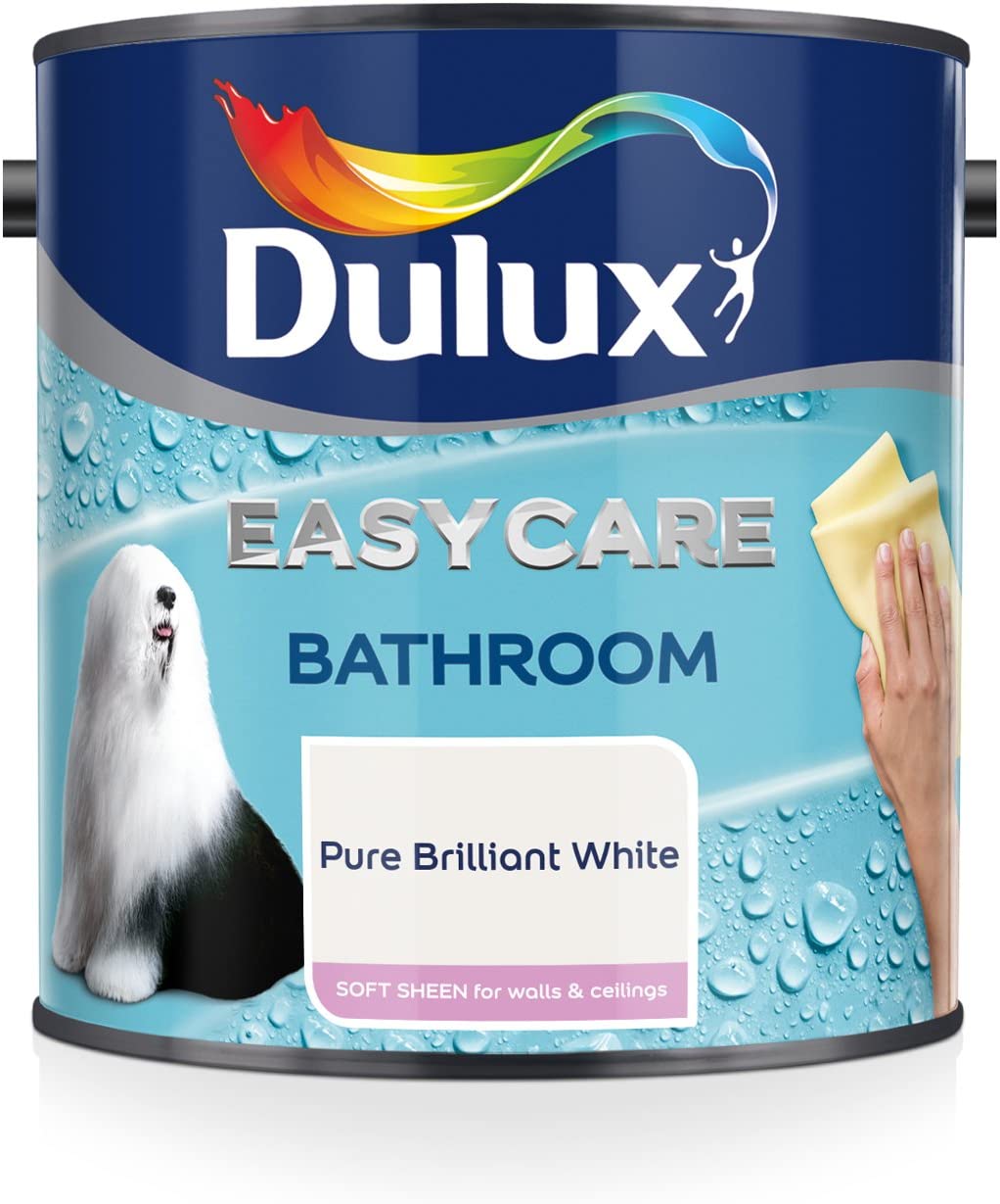 Bathroom Paint