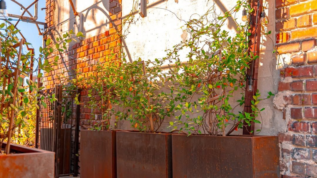 Rusty planters with greenery against a weathered brick wall.