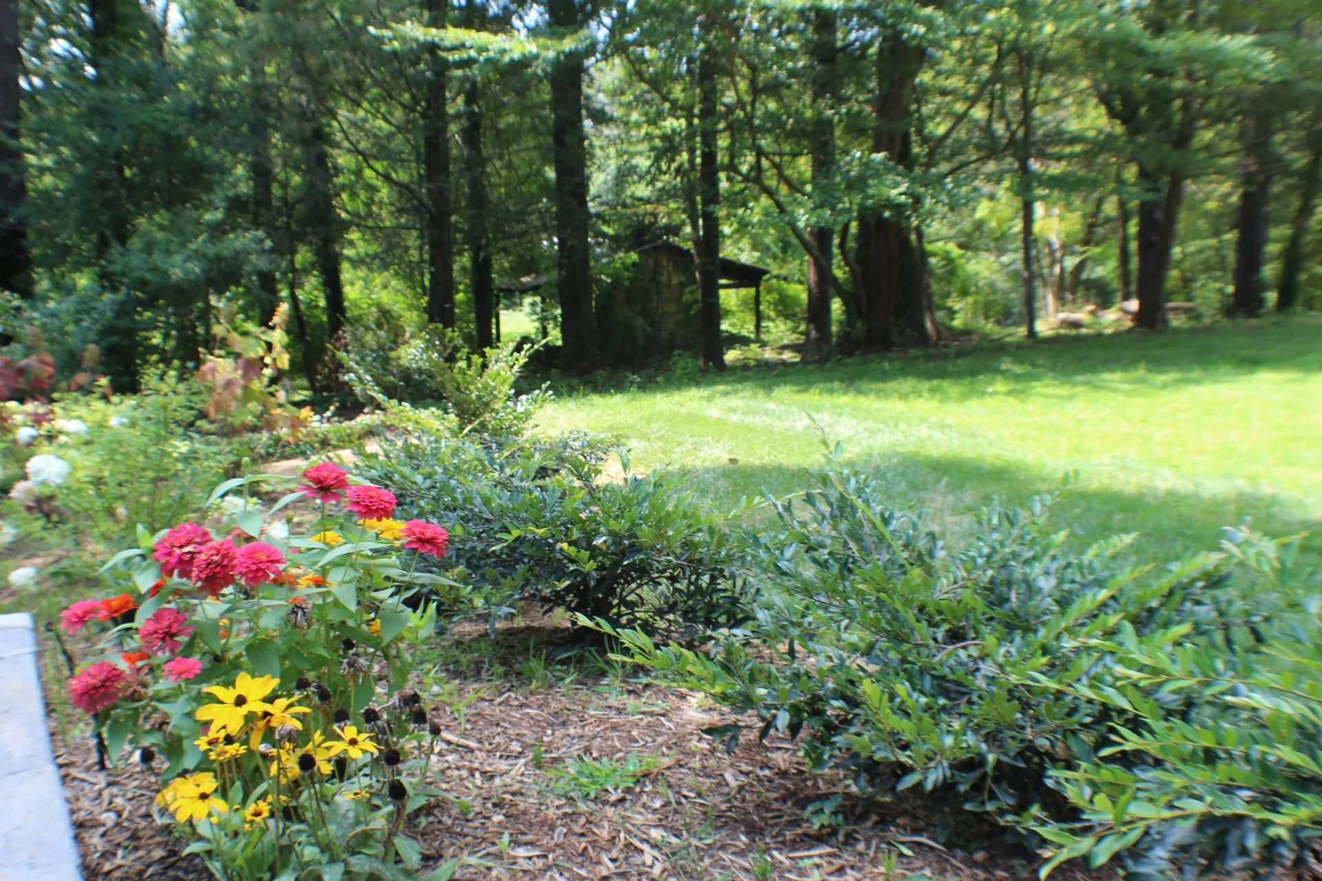 Colorful flower bed in front of green lawn with trees in the background.