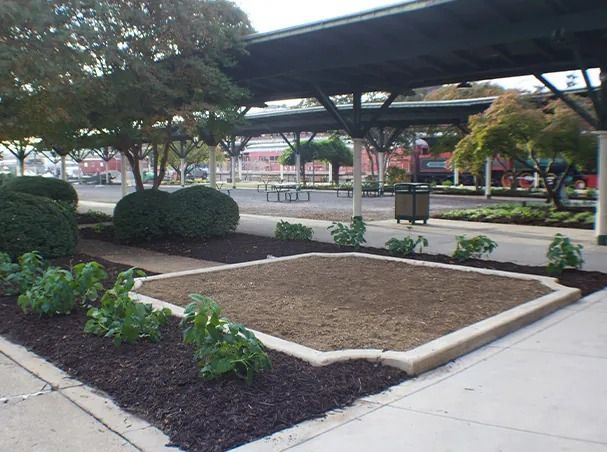 Landscaped area with mulch, bushes, and a covered walkway.